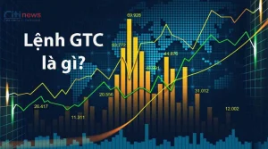 Lệnh GTC là gì? Rủi ro của lệnh GTC nhà đầu tư cần biết