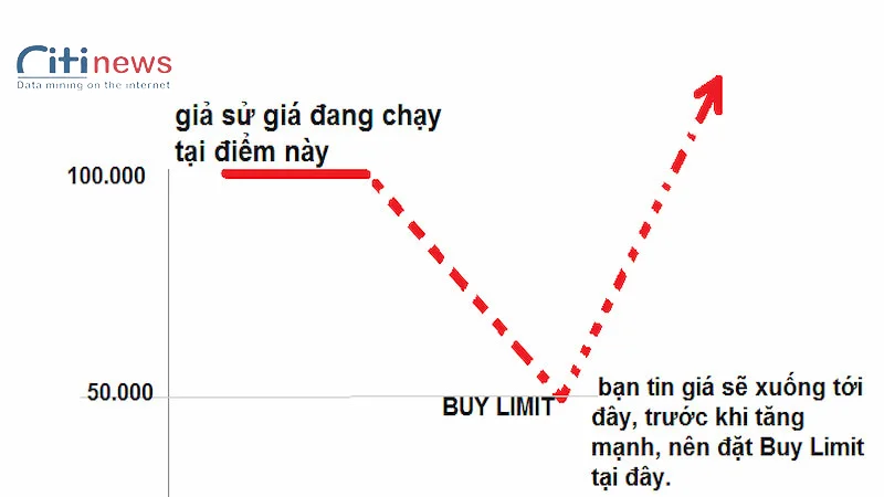 buy-limit-la-gi