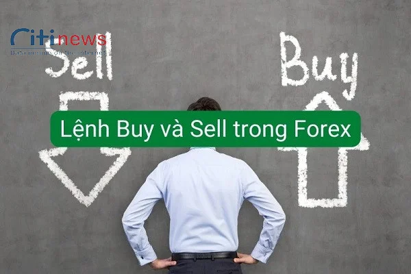 lenh-buy-va-sell-trong-forex-16