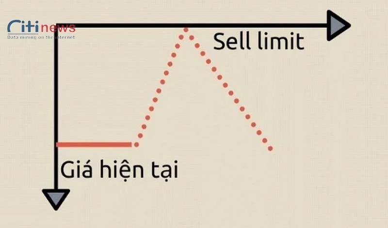 sell-limit-la-gi-02