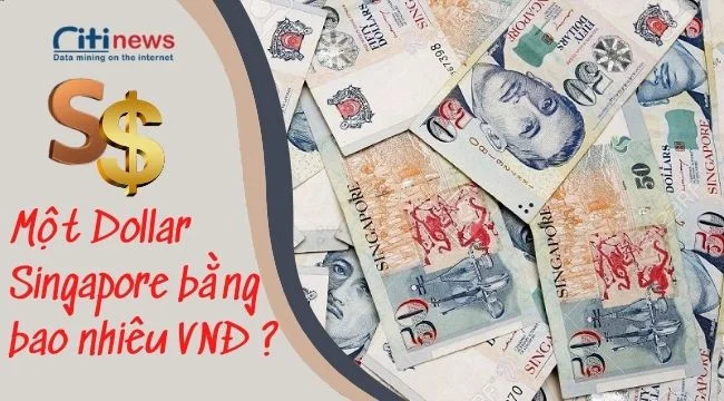 Quy đổi tiền Singapore sang tiền Việt Nam theo tỷ giá mới nhất