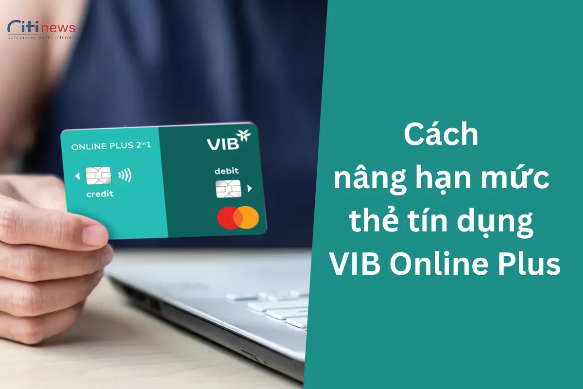 Hướng dẫn nâng hạn mức thẻ tín dụng VIB Online Plus nhanh nhất