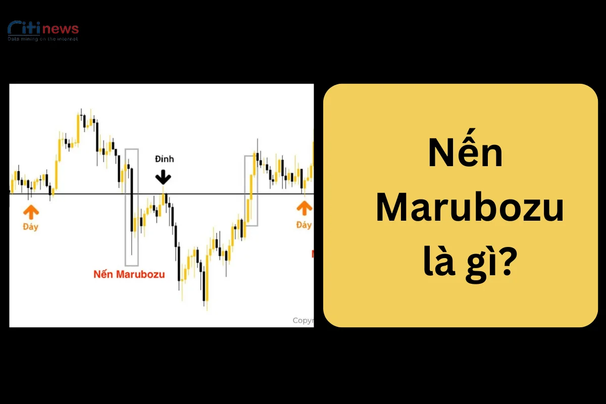 Nến Marubozu là gì? Đặc điểm & Cách giao dịch với Marubozu