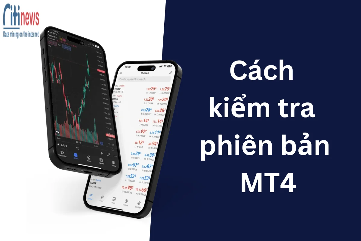 Cách kiểm tra phiên bản MT4 hiện tại & Nâng cấp phiên bản