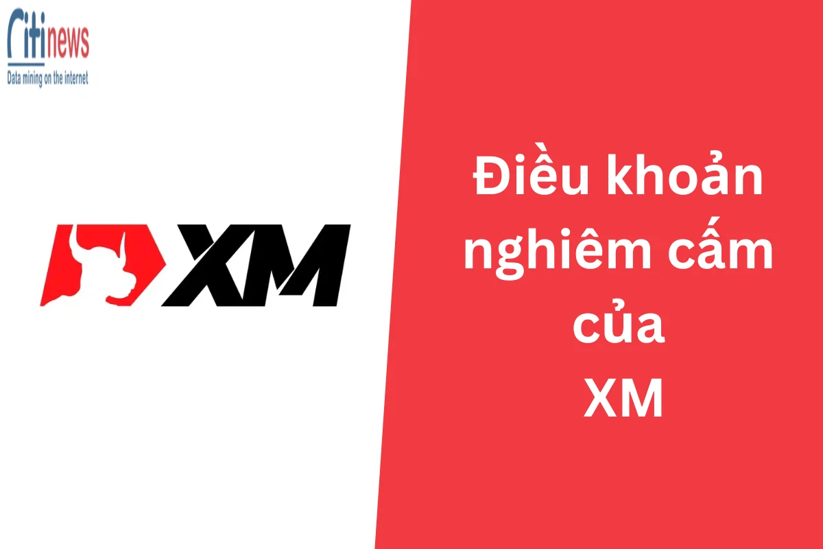 9 Điều khoản nghiêm cấm của XM trader nhất định phải biết