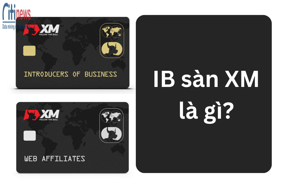 IB sàn XM là gì? Các hình thức làm IB sàn XM hiện nay